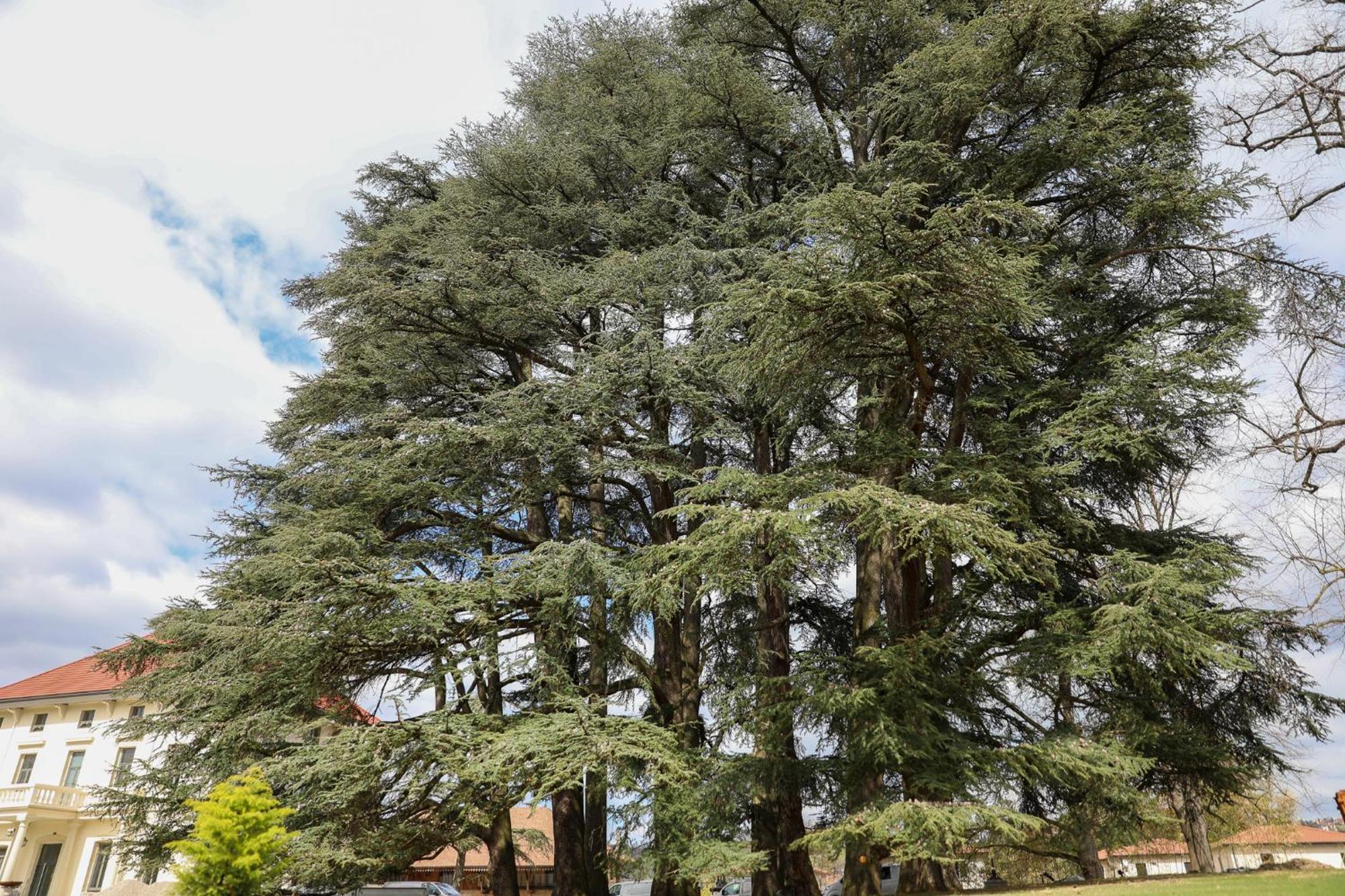 فندق Sequoias Golf & Ressort Ruy-Montceau المظهر الخارجي الصورة